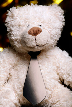 image of toy bear tie
