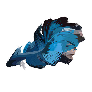 Beautifull Betta Blue Logo Vector Design