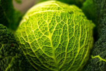 Cabbage details get by macro lens in market