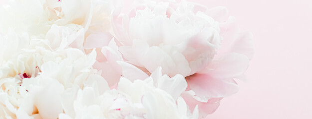 White peony flowers as floral art on pink background, wedding flatlay and luxury branding design © Anna Studio