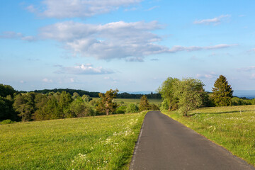panoramic view of green fields and meadows and small road