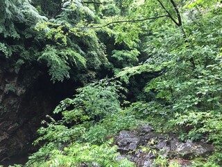 Obraz premium Moss Covered Rocks