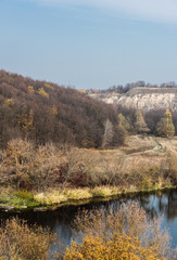 pond with water near green trees against blue sky