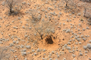 Aerial view of a termite mound in the Great Rift Valley in Kenya. The Great Rift Valley is part of an intra-continental ridge system that runs through Kenya from north to south. 