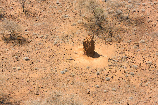 Aerial view of a termite mound in the Great Rift Valley in Kenya. The Great Rift Valley is part of an intra-continental ridge system that runs through Kenya from north to south. 