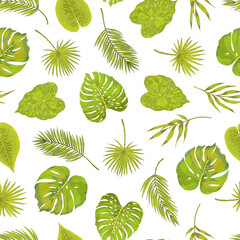 Seamless green philodendron fern bamboo leaf areca palm vector pattern. Natural simple background on white. Hand drawn leaves tropical pattern.