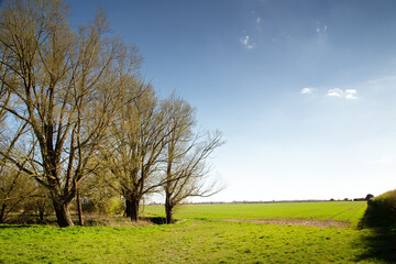 Obraz premium landscape image in the countryside of essex