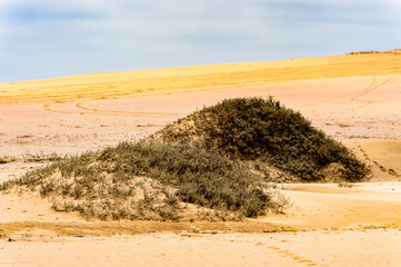 It's Beautiful landscape of the Namib-Naukluft National Park, Namibia
