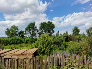 beautiful landscape behind an old wooden fence with green trees and purple flowers against a blue sky with clouds on a sunny day