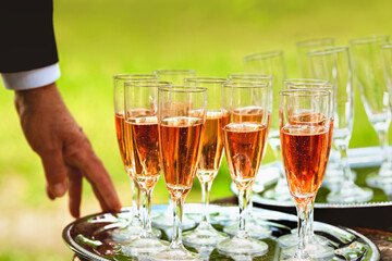 Glasses on a tray filled with champagne.