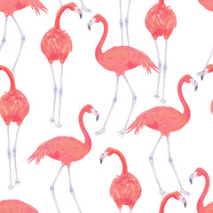 Vector with watercolor effect illustration of pink flamingo bird seamless pattern.	