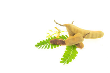 Naklejka premium Ripe tamarind
