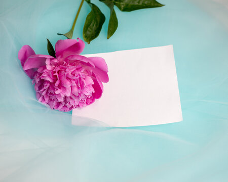 flower peony on a blue background made of delicate fabric with a clean sheet of paper for your inscription. A great photo to promote your promotion or congratulate someone