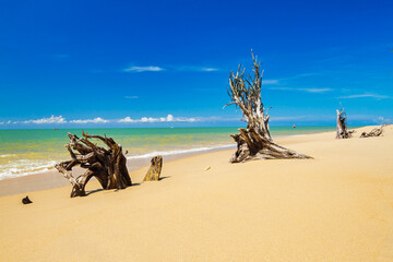 Tropical beach of beautiful Koh Kho Khao island in Thailand