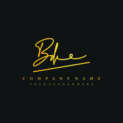 BD initials signature logo. Handwriting logo vector templates. Hand drawn Calligraphy lettering Vector illustration.