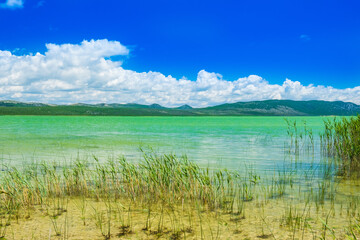 Beautiful green lake in ornithological nature park Vrana (Vransko jezero) in Dalmatia, Croatia