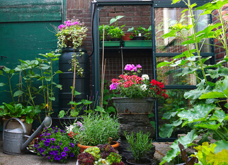 Fototapeta na wymiar Flowers and plants planting in a urban garden with a small greenhouse full with new own grown vegetables. Nice green natural gardening concept with garden tools for magazine or inspiration.