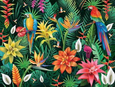 Background from tropical flowers, leaves and birds