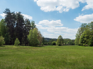 idyllic spring landscape with lush green grass, fresh deciduous, spruce and pine tree forest, blue sky white clouds background, horozontal, copy space