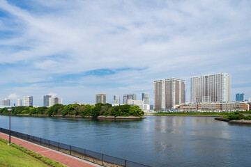 Fototapeta premium 豊洲ぐるり公園