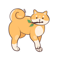 Shiba inu breed dog isolated on white background. Vector graphics.