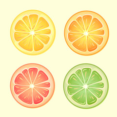 citrus set on a yellow background
