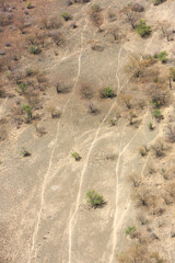 Aerial view of the Great Rift Valley, Kenya. The Great Rift Valley is part of an intra-continental ridge system that runs through Kenya from north to south.