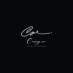 CZ initials signature logo. Handwriting logo vector templates. Hand drawn Calligraphy lettering Vector illustration.
