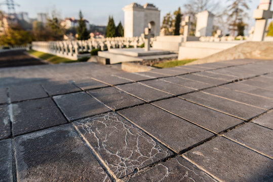 selective focus of pavement near polish tombs in lychakiv cemetery in lviv, ukraine
