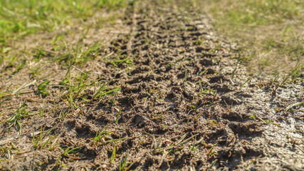 Car trail on the ground. Texture dirty road with slush