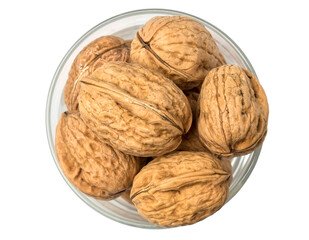 Nueces