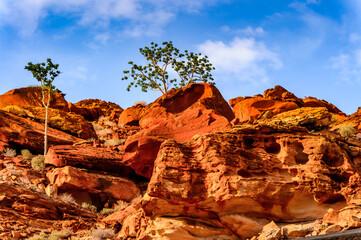 It's Rocks of Twyfelfontein, Namibia