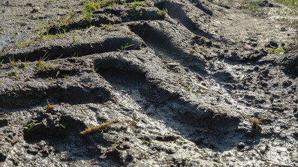 Tracks of tractor. Big tire print on the ground. Imprint from wheels