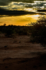 It's Beautiful sunset at the Erindi Private Game Reserve, Namibia