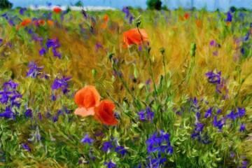 Oil paintings rural landscape, field of red poppies and blue sky