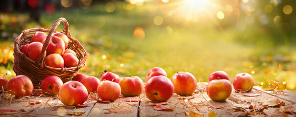 Äpfel in einem Korb im Freien. Sonniger Hintergrund