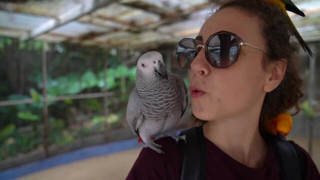 Jaco the parrot bites the girl's nose