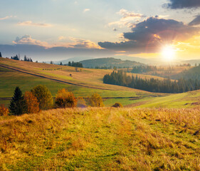 forest in red foliage at autumn sunset. trees with branches with red foliage in forest. hillside in mountains with high peak in the distance in evening light