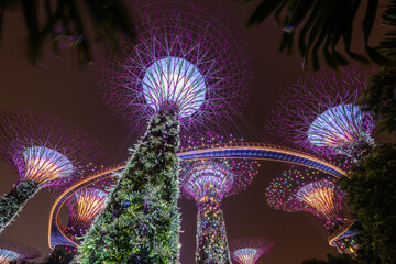 The Supertree Grove at Night, Gardens by the Bay, Singapore