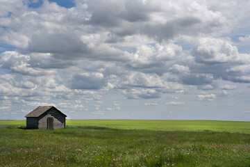 Fototapeta na wymiar A landscape picture with old grain shed in a grass field on the Canadian Prairies as farmers seed their crops in Rockyview County.