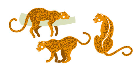 Tropical fauna of mammals. Set of wild leopards. Vector illustration.