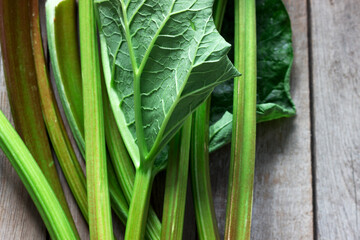 Stems and leaves of rhubarb on a wooden background.