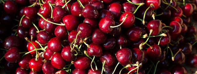  Ripe juicy cherries. Seasonal berries and fruits. Backgrounds. Banner.
