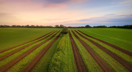 Fototapeta na wymiar Plowed strips in the landscape at dusk