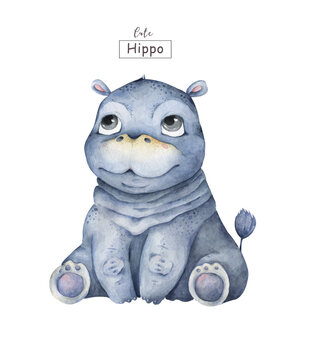 Cute baby Hippo Hand drawn adorable watercolor illustration on white background © Anna Terleeva