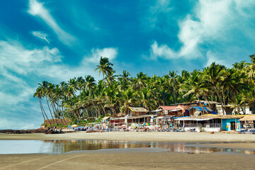 Beautiful tropical beach with palms in Goa