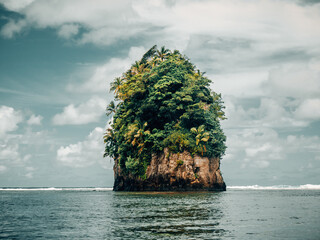 Flowerpot Rock in Pago Pago, American Samoa - obrazy, fototapety, plakaty