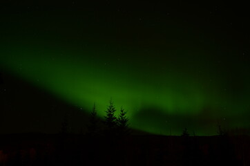 Fototapeta na wymiar aurora borealis on night sky over tree tops