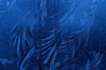 beautiful ice flower shapes and patterns on frost frozen window