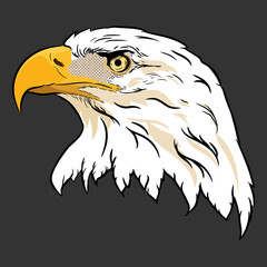 American bald eagle with flag,hand drawn eagle head vector.